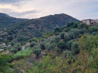Vista