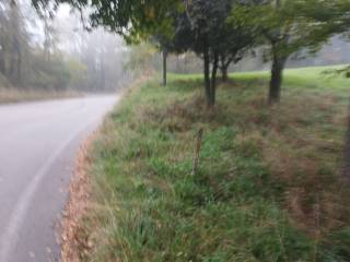 Zona
