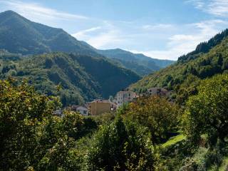 Vista