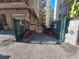 Zona