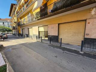 Zona