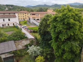 Vista