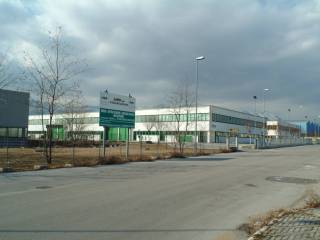 Zona