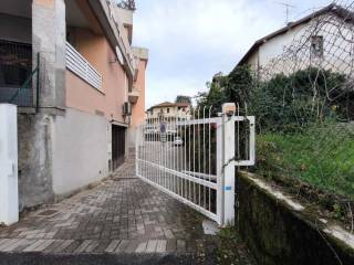 Zona