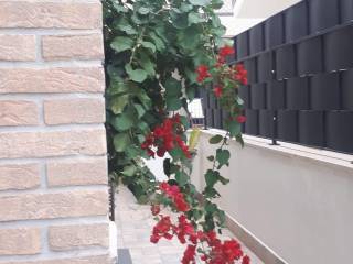 Ingresso