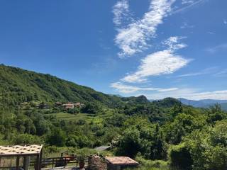 Vista