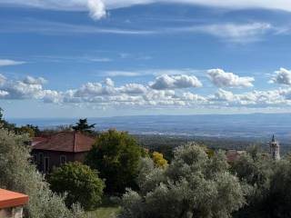 Vista