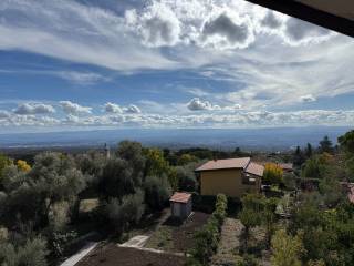 Vista