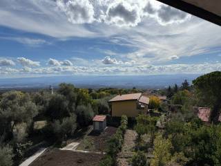 Vista