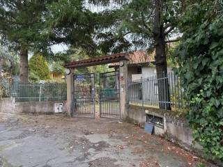 Ingresso