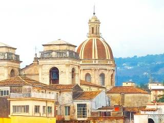 Zona