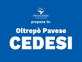 Altro