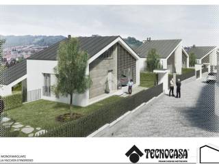 Zona
