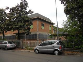 Zona