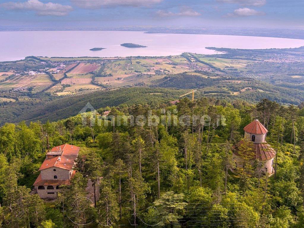 Vista