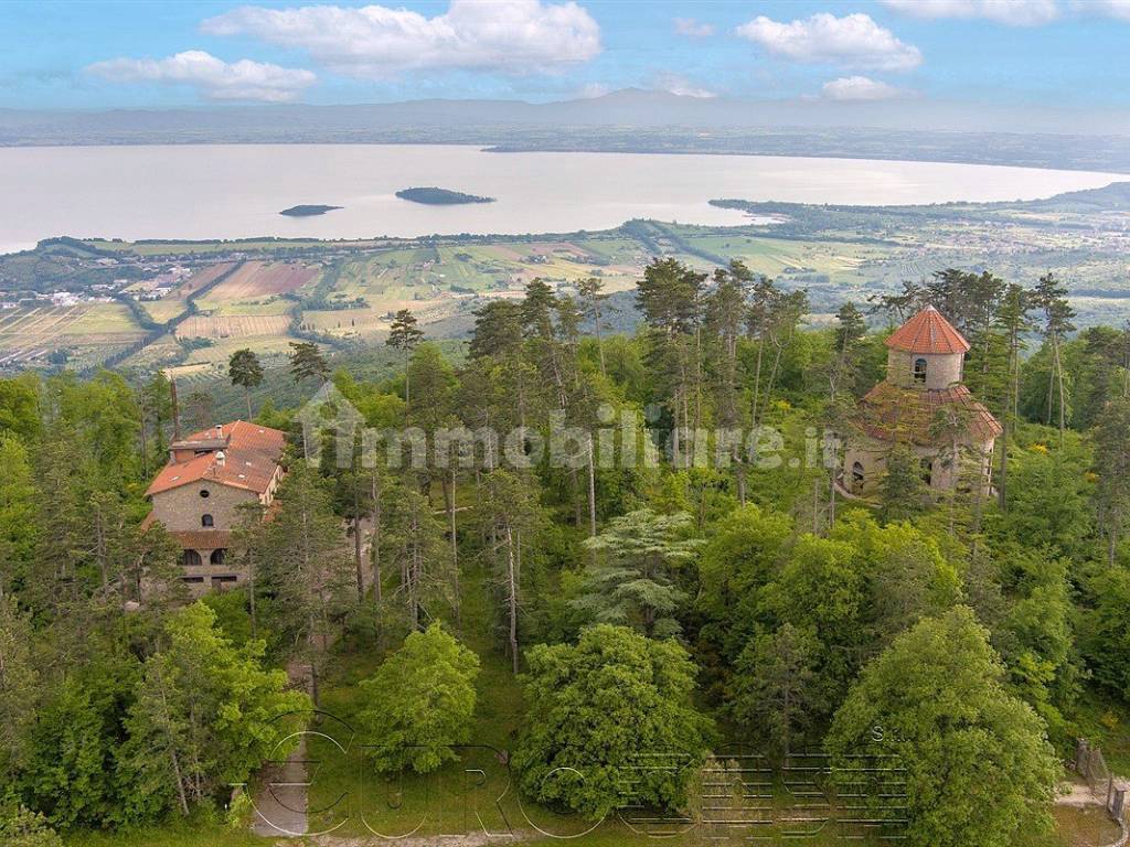 Vista