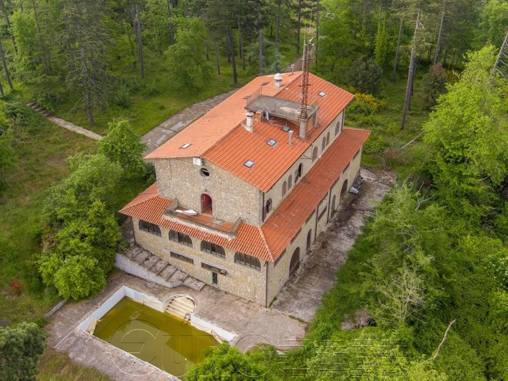 Vista