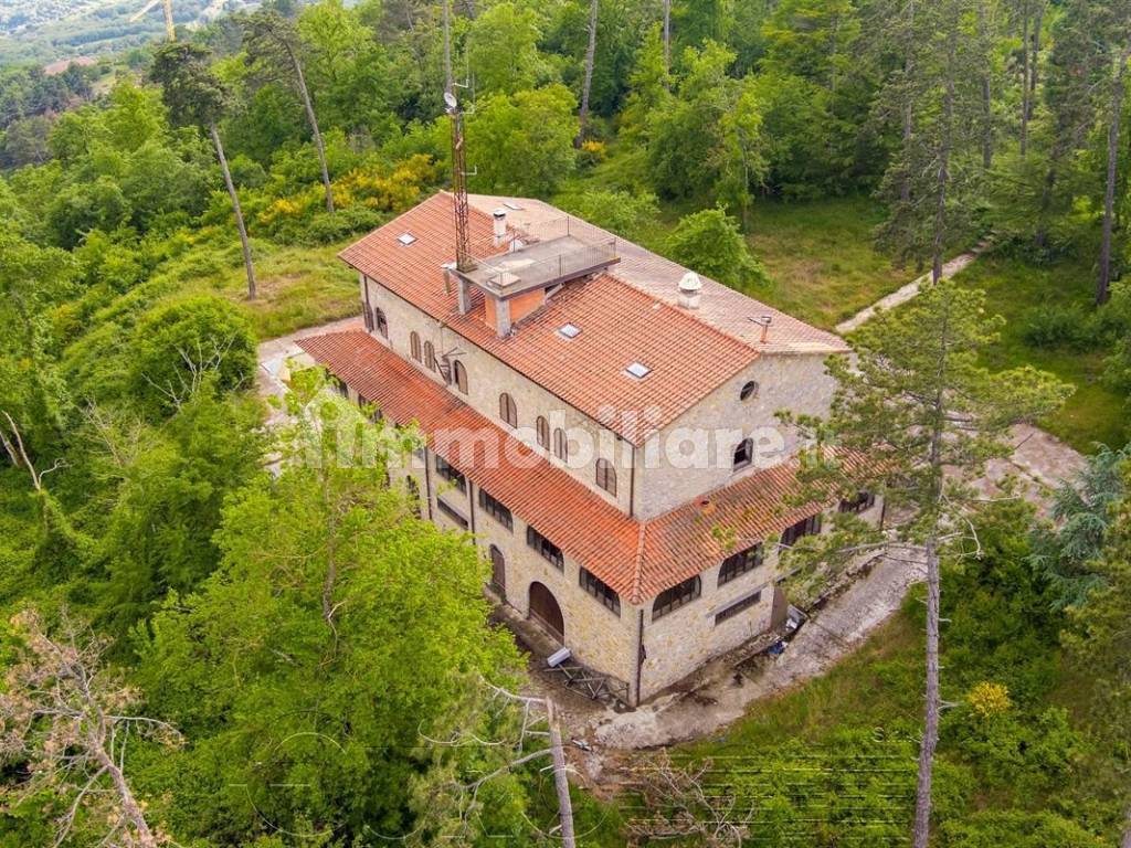 Vista