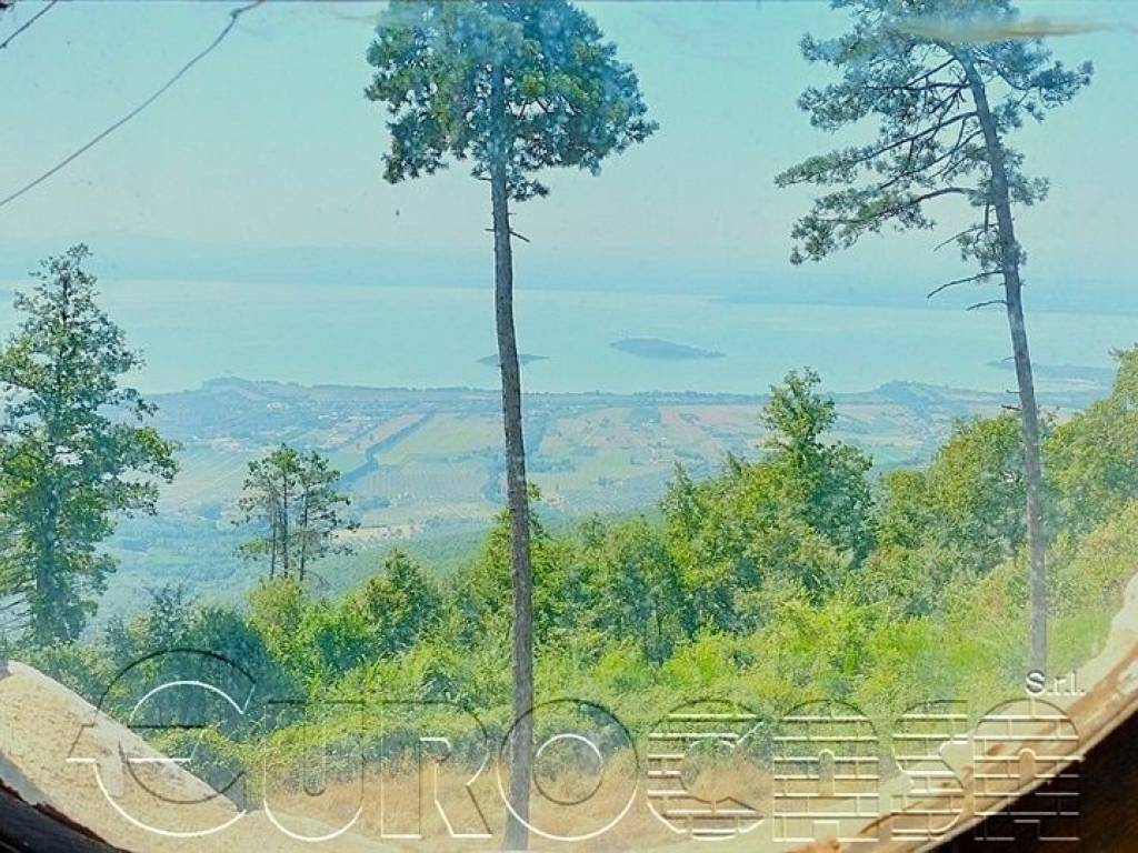 Vista