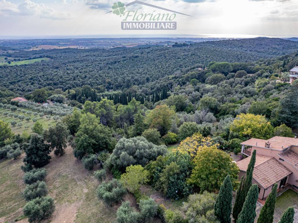 Vendita Villa unifamiliare in Strada Capalbio Pescia Fiorentina ...