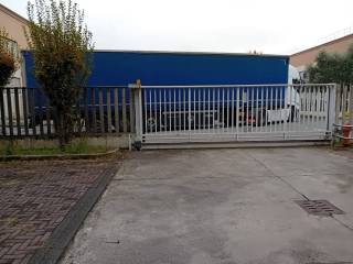 Zona