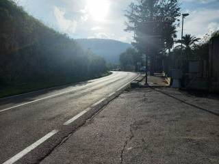 Zona