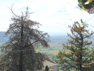 Vista