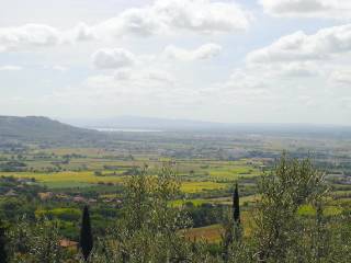 Vista