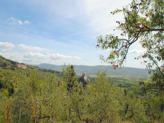 Vista