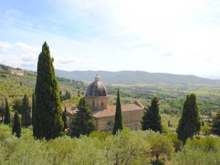 Vista
