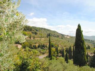 Vista