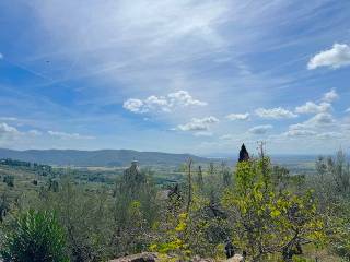 Vista