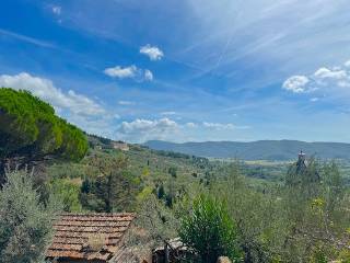 Vista