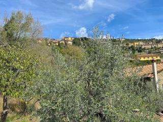 Vista