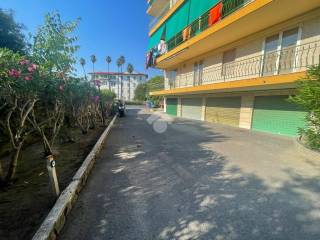 Zona