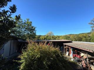 Vista