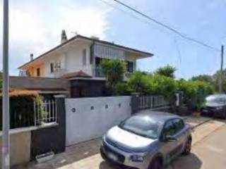 Zona