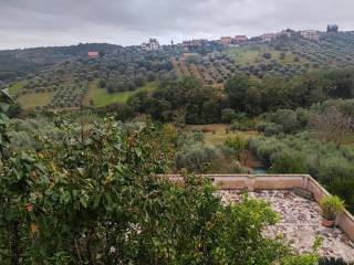 Vista