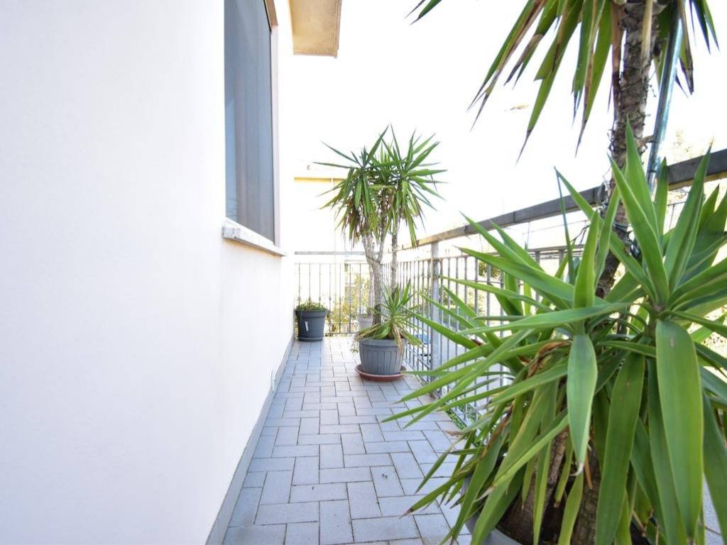 Terrazzo