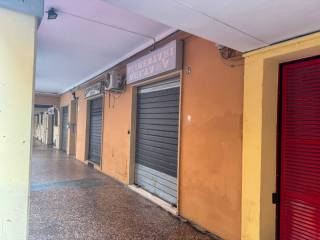 Zona