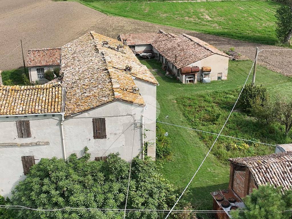 Vista