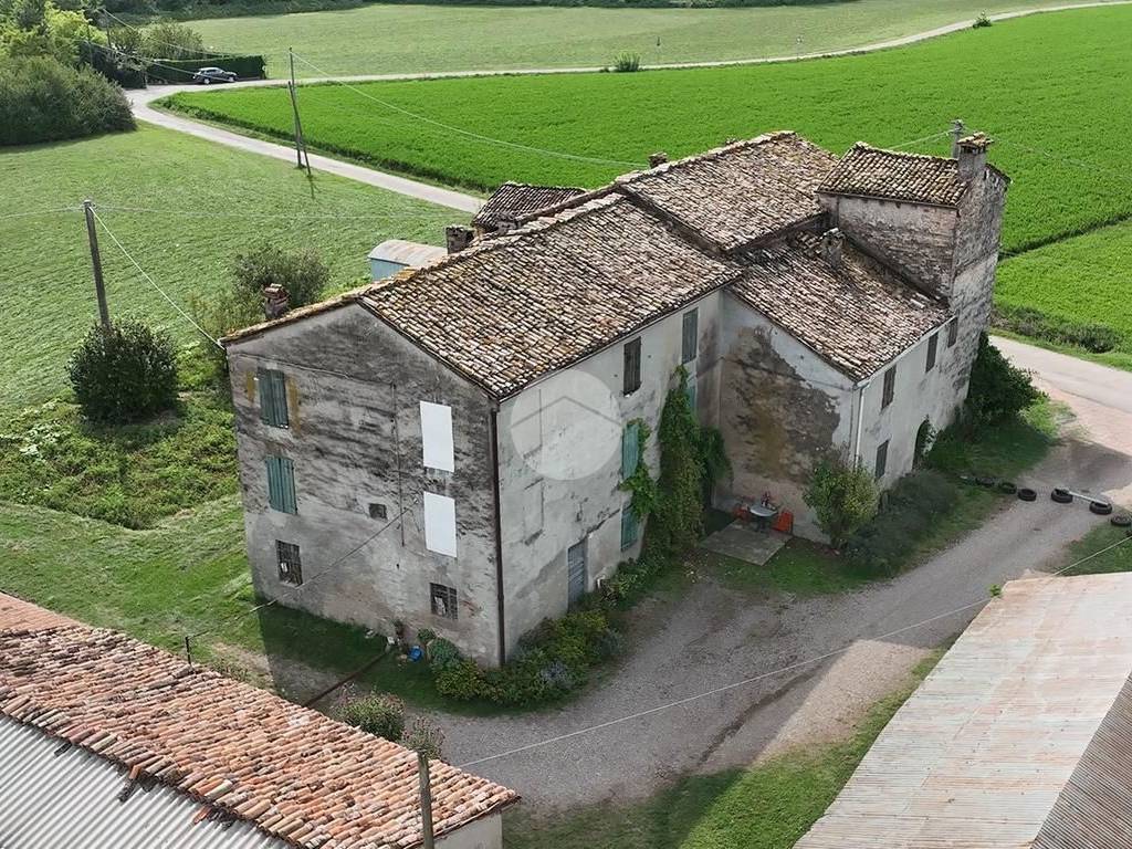 Vista