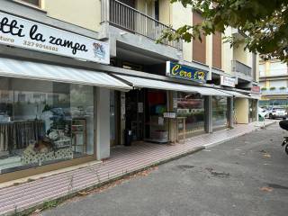 Zona