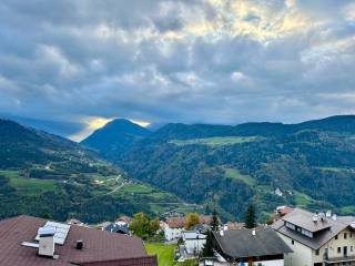 Vista