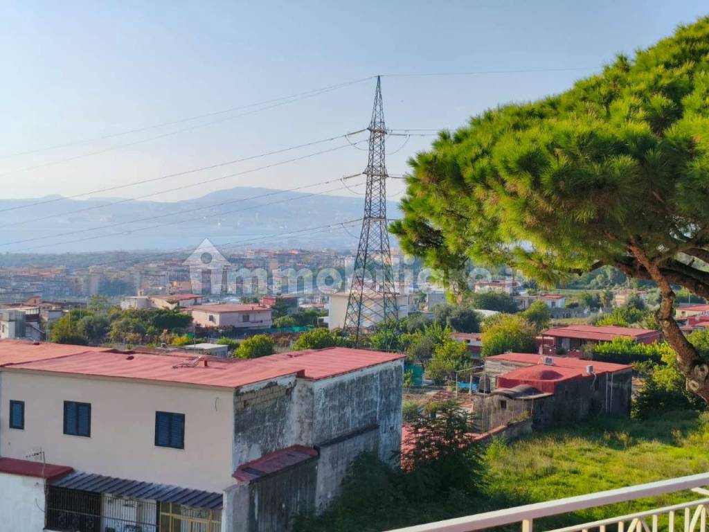 Vista