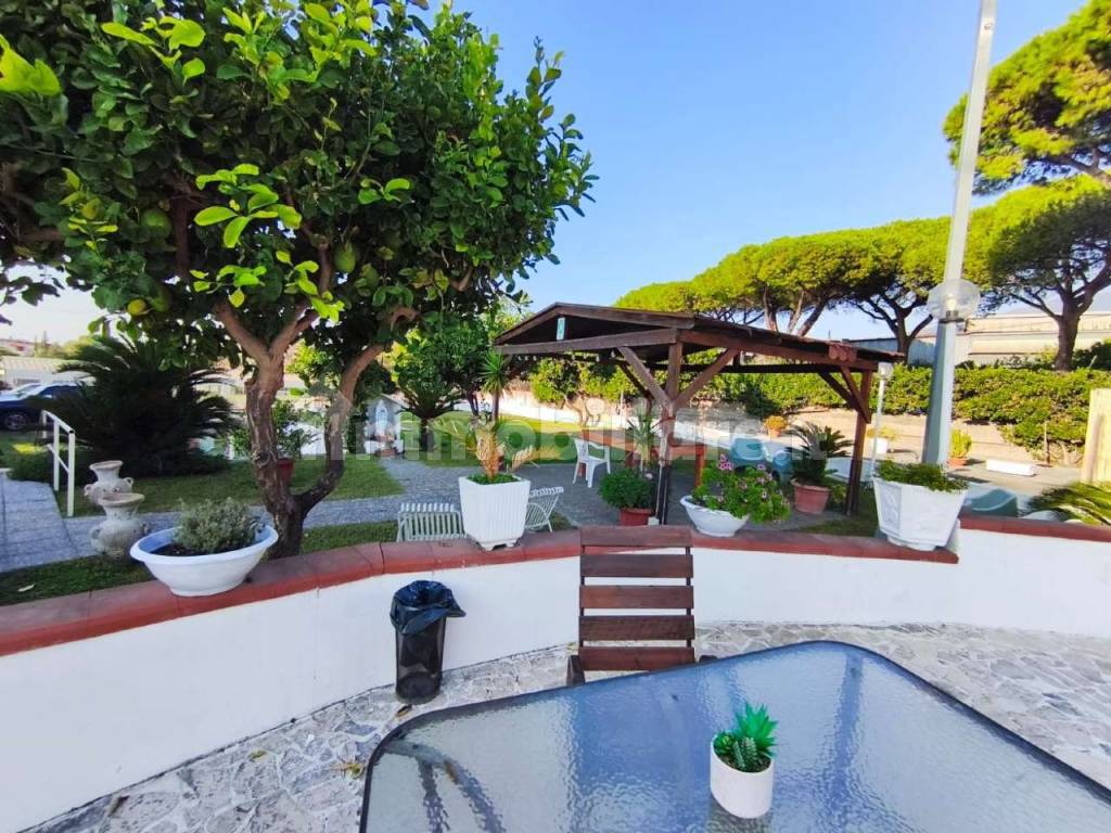 Giardino