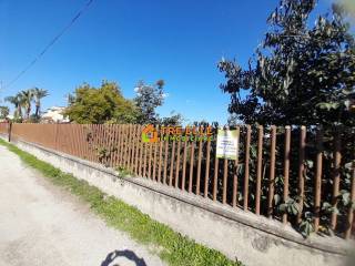 Zona