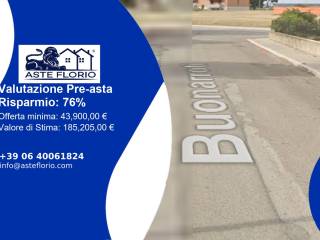 Zona