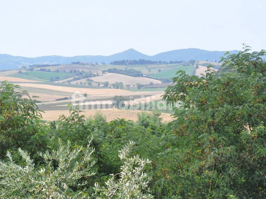 Vista