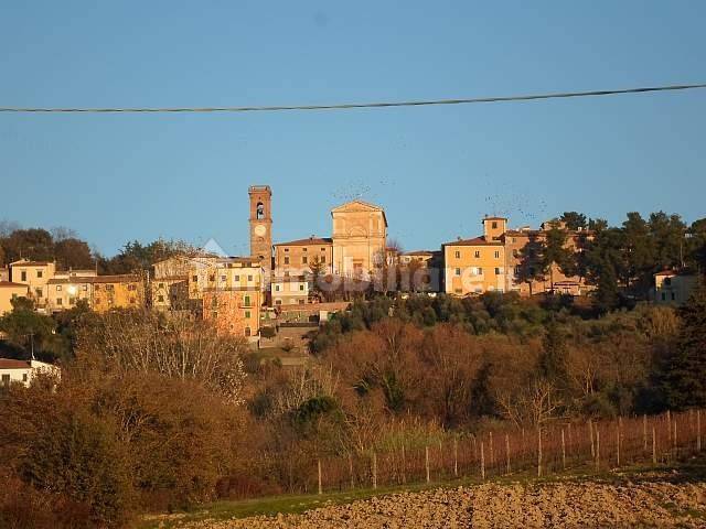 Vista